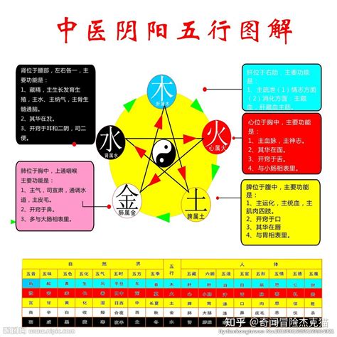 五行表格|五行